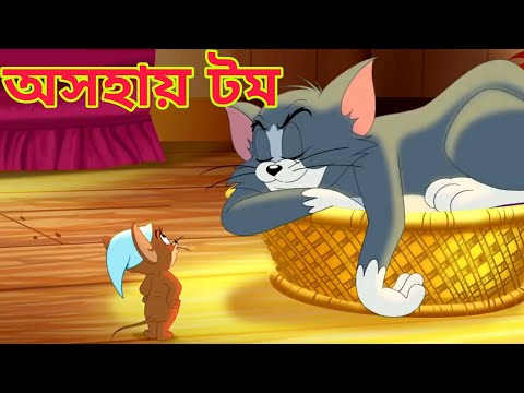 Tom And Jerry Bangla Carton | Jerru And Tom |Caron Tom And Jerry | Bangla Tom And Jerry