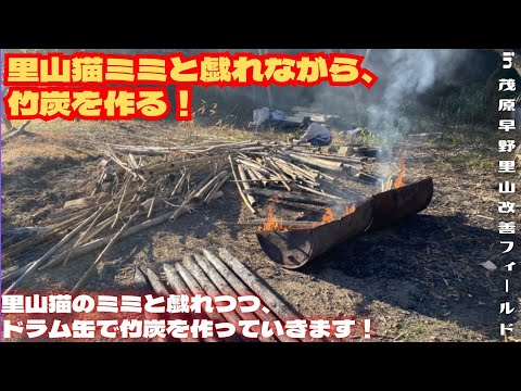 里山猫ミミと戯れながら、竹炭を作る！【里山再生・土壌改善・開拓型農業アクティビティ里山体験受付中】