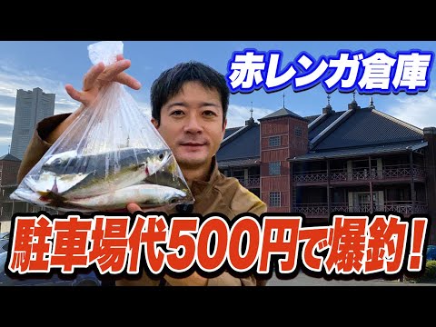 【横浜新港】アジやサバ爆釣かつ赤レンガ倉庫の駐車場代を“500円”に収める方法を解説！