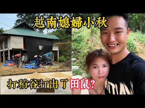 【越南媳妇小秋】今日村里打稻谷打出了田鼠？小潘直言可以拿去卖了。粉丝纷纷催小潘带货，小潘正在选品当中。