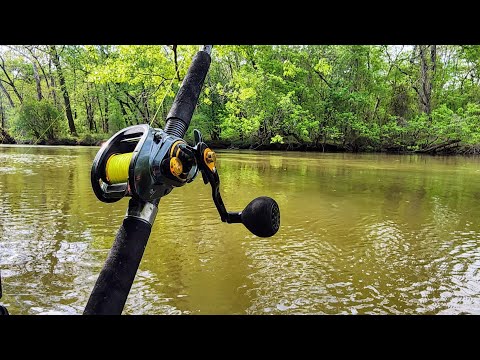 Fishing HIDDEN BACKWATERS On A Huge River!! (Marathon Fishing)