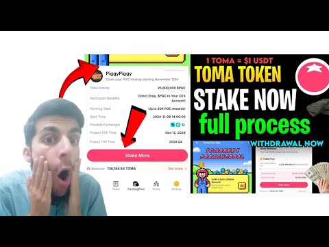 Tomarket Farmingpool Stake PiggyPiggy | $TOMA to $PGC Withdrawal Process | TOMA Pool Airdrop Details