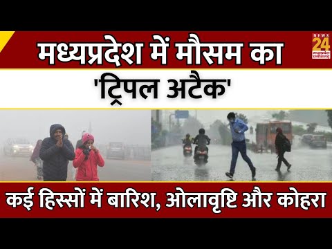 Madhya Pradesh में मौसम का 'ट्रिपल अटैक'...कई हिस्सों में बारिश, ओलावृष्टि और कोहरा | Weather News