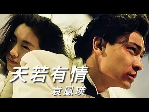 《天若有情》袁鳳瑛