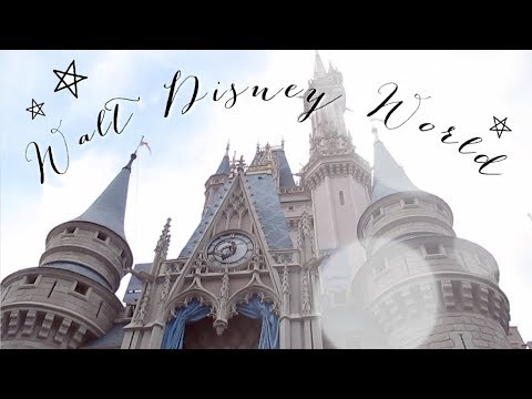 The Best Part Of My 2019 | Disney World & Universal Montage