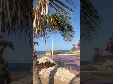 🏝️Amaizing view 🌊                  Playa  de Fanabe🏝️ ( Costa Adeje , Tenerife )#tenerife