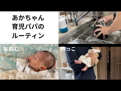 【ルーティン】かわいいあかちゃんと大変なお世話【睡眠/抱っこ/皿洗い】