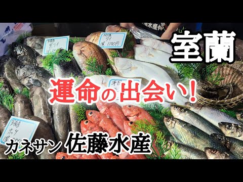 【北海道】カネサン佐藤水産卸売センター🐟鮮度抜群でコスパ最高！感動の味🥹金・土限定営業のお店☝🏻