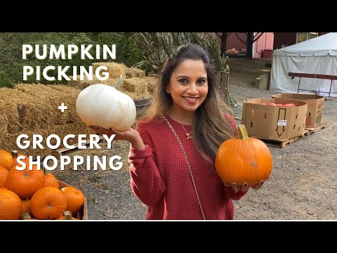 GOODBYE SUMMER | PUMPKIN PATCH | Grocery Shopping | Kannada Vlogs | In America