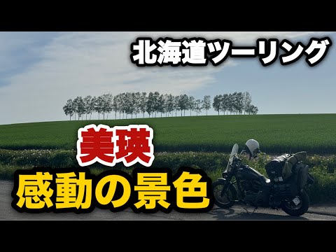 【北海道ツーリング2024春】⑨ハーレーで感動の美瑛