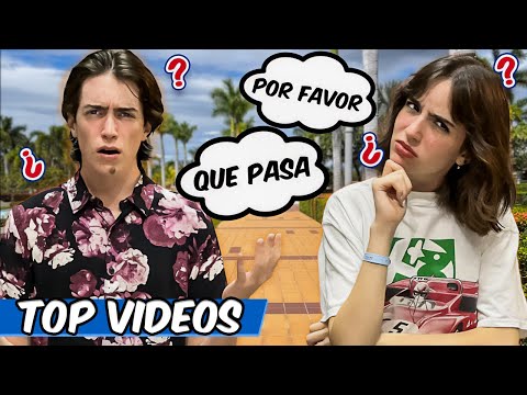 Top Bee Family SPANISH FOR 24 HOURS MOMENTS! | The Bee Family