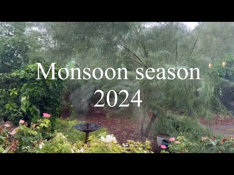 What makes this year’s monsoon season different? All the wind!