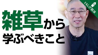 草むしりが至福の時間に！？　-大愚和尚が語る雑草の素晴らしさ-