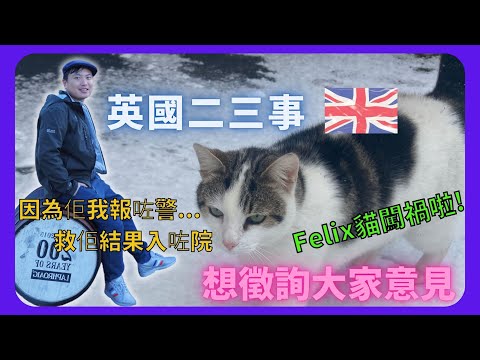 【BNO英國二三事】有問題徵詢大家意見/Felix貓闖禍啦!/因為佢我報咗警...         救佢結果入咗院/我的英國貓星人/離家出走嘅貓/有性格嘅貓