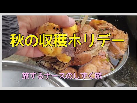 ご無沙汰してます🙏 【秋の収穫ホリデー in 室蘭】