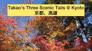 Visiting Takao’s Three Scenic Tails Surrounded by Autumn Leaves @Kyoto