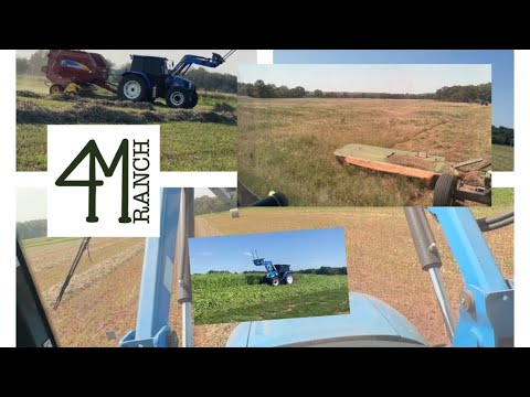 ALL HAY & NO PLAY- Best Of Hay Season 23 Sorghum Sudan  grass