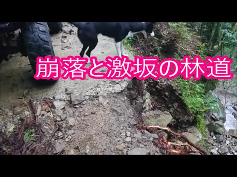 【名もなき林道シリーズ】　和歌山県にある崩落と激坂林道　完抜け出来るけどダウンギア必須！