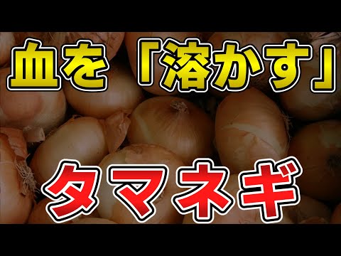 ゆっくり毒物vol.79　タマネギ【ゆっくり解説】