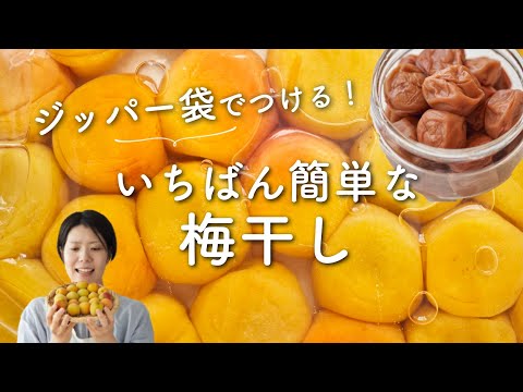 【一番簡単な作り方！】梅干しの作り方(白干し梅)