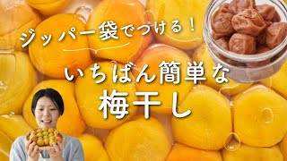 【一番簡単な作り方！】梅干しの作り方(白干し梅)