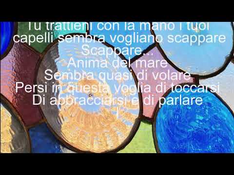 Michele Zarrillo - Gli assolati Vetri (testo)