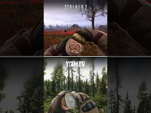 Stalker 2 vs Escape From Tarkov Food and Drinks Comparison