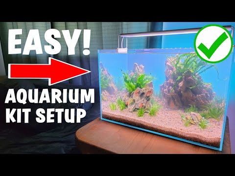 The BEST Aquarium Kit For Beginners!? - NEW *Easy* Low-Tech Planted Tank Setup