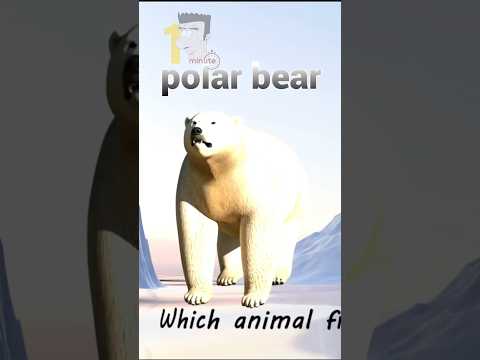 Which animal from these three lives in Antarctica?  #childrensbook #kidsscience