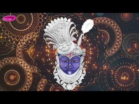 Mara Ghatma Shrinathji - Ashit & Hema Desai