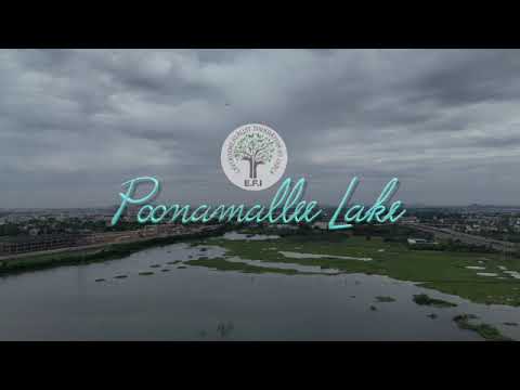 E.F.I Poonamallee Lake