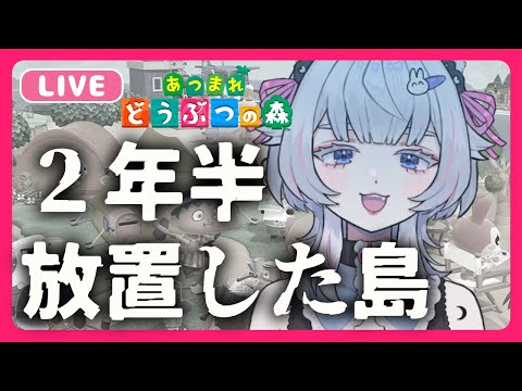 【 #あつ森 】２年半放置…！いったい、島はいまどうなっているのか…？！【 #あつまれどうぶつの森 】ねこめろんるる