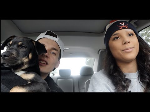 GAME DAY VLOG @ UVA!!!