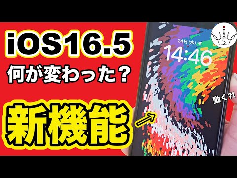 【iPhone】iOS16.5の新機能と変更点を紹介！