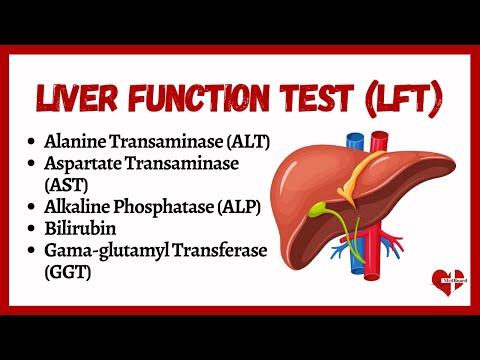 Liver Function Tests (LFTs) |  liver function test interpretation | Animation | Multi-Languages |