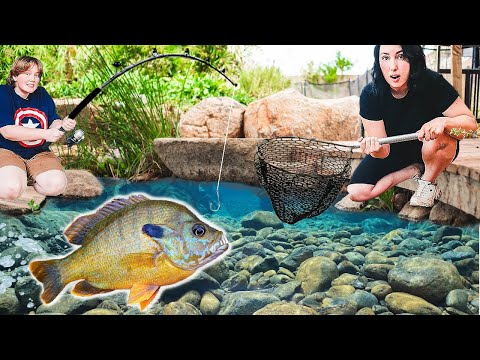 We tried EVERYTHING to catch the Predator Fish in our Swimming Pond!