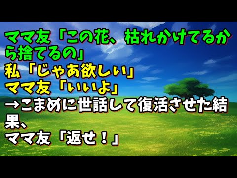 【スカッとひろゆき】ママ友「この花、枯れかけてるから捨てるの」私「じゃあ欲しい」ママ友「いいよ」→こまめに世話して復活させた結果、ママ友「返せ！」