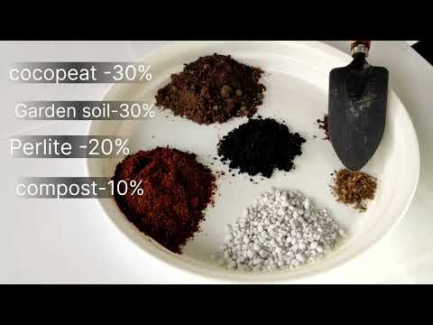 best potting mix for indoor plants | perlite |potting mix