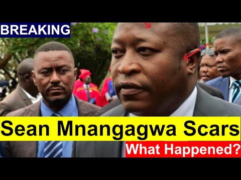 WATCH LIVE; Masimirembwa Goes For Chiwenga, Sean Mnangagwa Commander Defence Forces Rumors