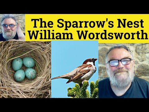 😎 The Sparrow's Nest by William Wordsworth Analysis The Sparrow's Nest by William Wordsworth Summary