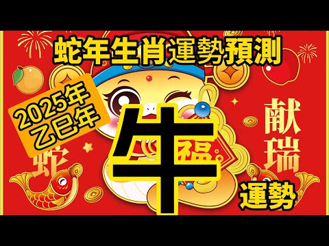 2025年 乙巳年 生肖運勢 蛇年十二生肖運程 —【肖牛】 | 概括運程 | 四季不同時段出生 屬牛運程 | 生肖運程 分析 | 愛情、事業、正財、橫財、健康預測| 開運攻略 | 生肖運程 2025