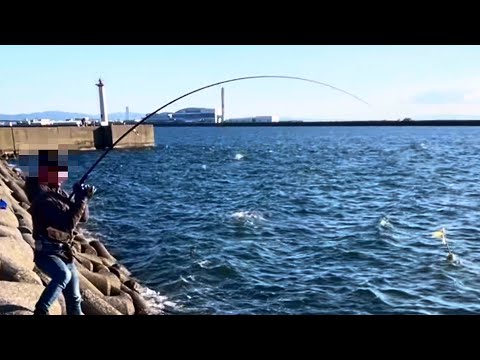 大阪名物が食べたくて…