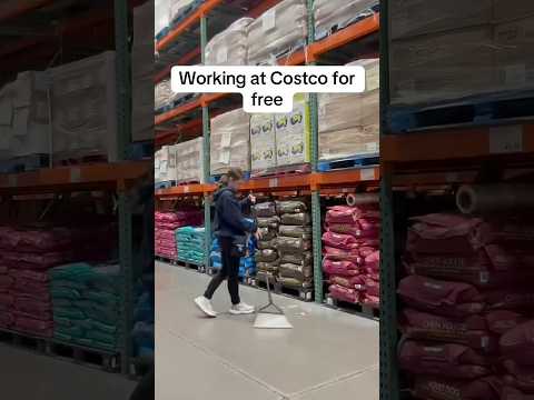 I Tried Working at a random Costco for Free!