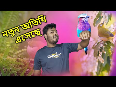 অনেকগুলো নতুন পাখি এনেছি ঘরে | Many new birds have been brought home