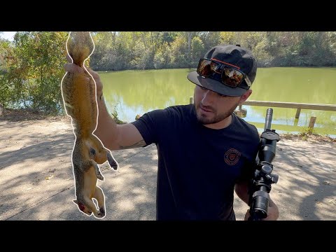 Squirrel Hunting With Airguns {Catch Clean Cook} Squirrel Gumbo