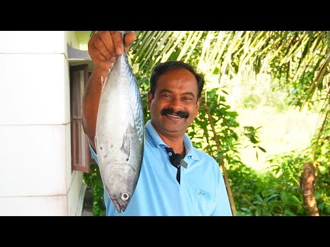 ചൂര കറി ഇനി ഈ രീതിയിൽ തയ്യാറാക്കി നോക്കു 😋👌 | Choora curry | Fish Curry | Keralastyle