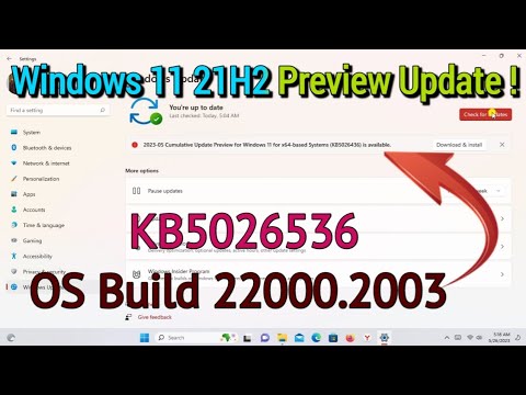 Windows 11 21H2 Preview Update 2023 | KB5026536 | OS Build 22000.2003