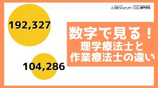 数字で見る、理学療法士と作業療法士の違い