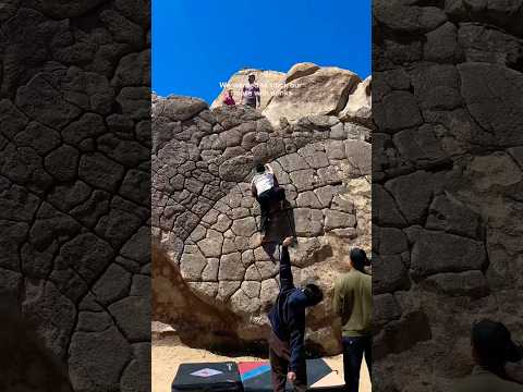 Joshua Tree + Snacks