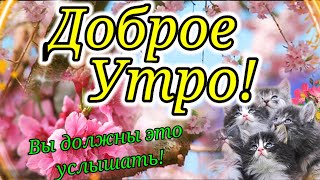 С Добрым Майским Утром!/ Красивейшая Песня Вы Только Послушайте!Открытка Доброе Утро!